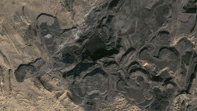 Pierwsze zdjęcia chińskiego lasu, który liczy sobie 298 milionów lat 1