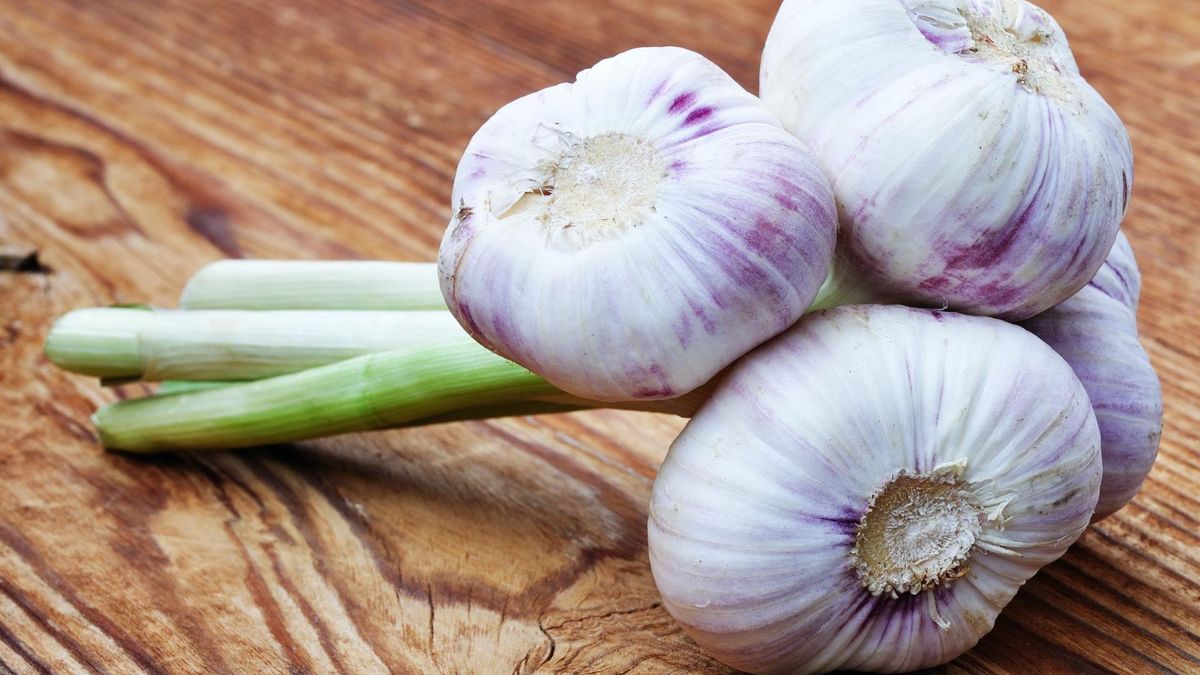 czosnku nie można przechowywać w lodówce