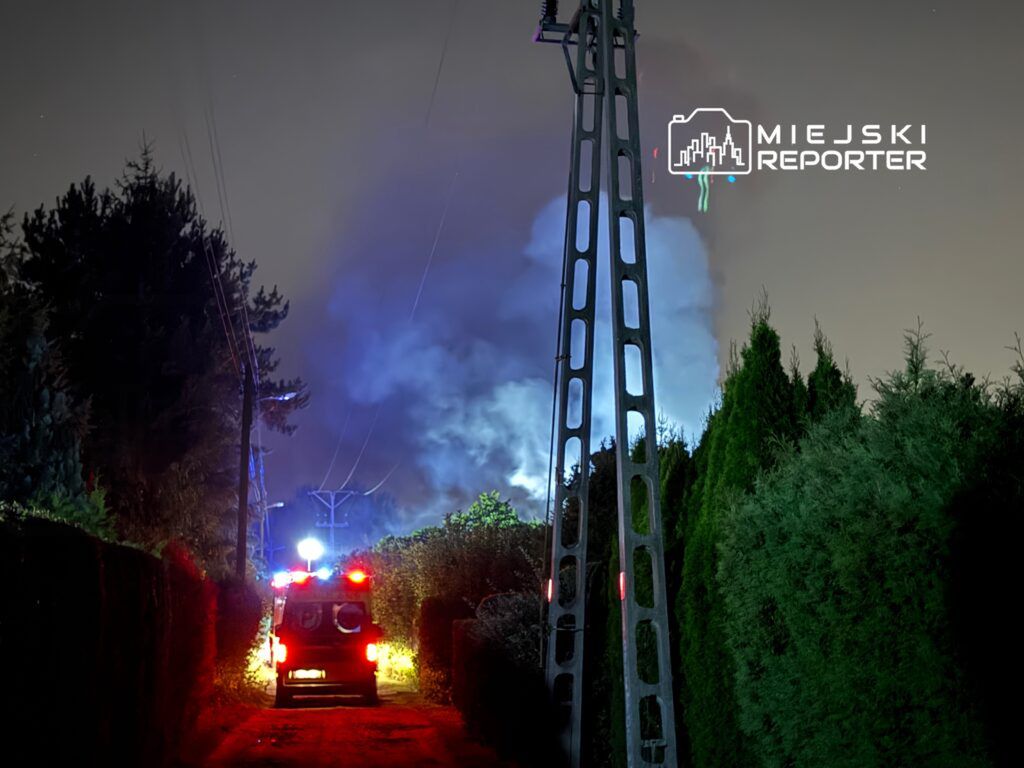 W tle widać dym unoszący się z lasu, a z przodu stoi wóz strażacki z włączonymi sygnałami świetlnymi.