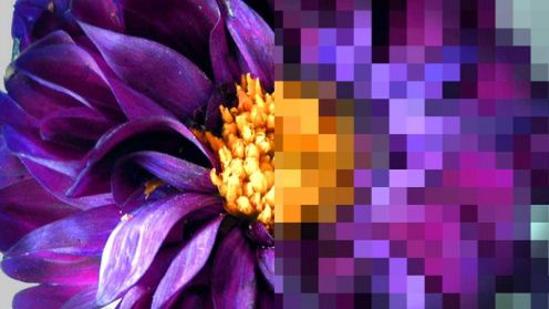 Dla zupełnie początkujących: RAW vs JPG 1