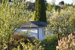 Zburzyli mu altanę. Stracił kota. Teraz wyganiają seniora z kontenera