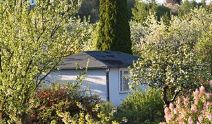 Zburzyli mu altanę. Stracił kota. Teraz wyganiają seniora z kontenera