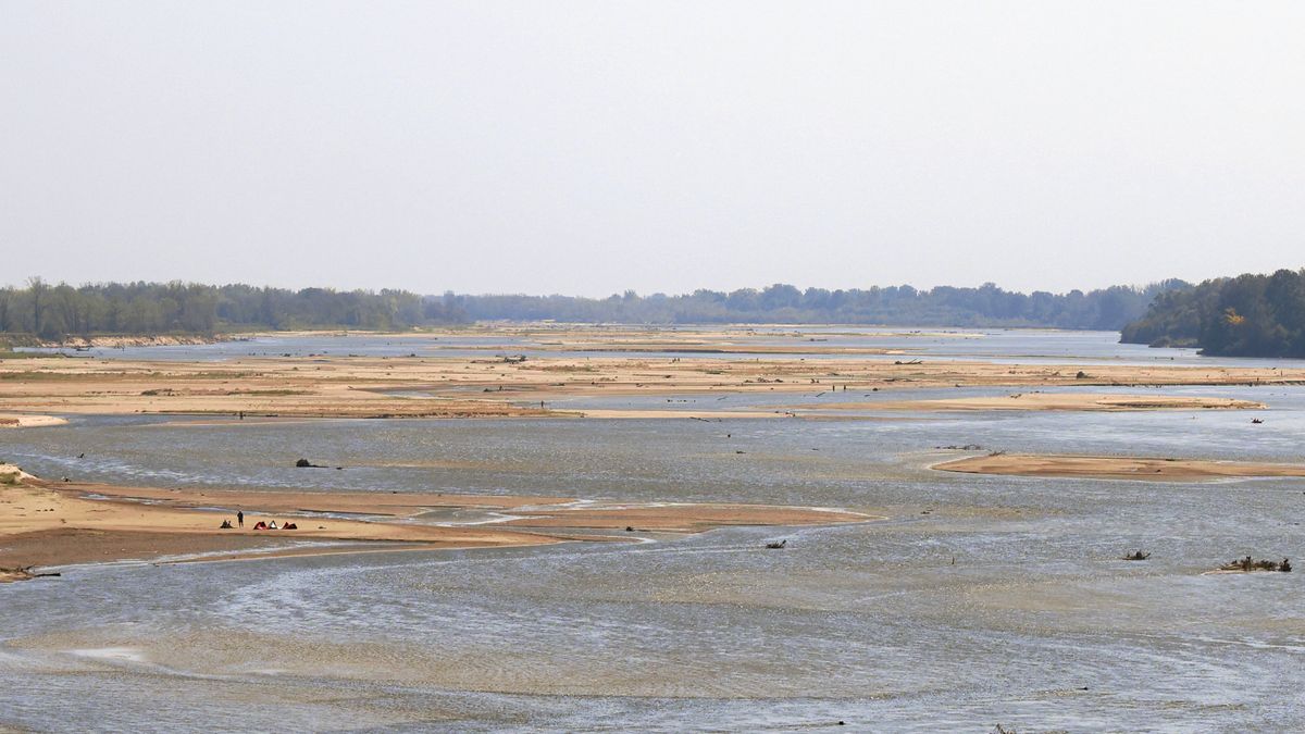Rybom nie pomógł rekordowo niski stan Wisły w Małopolsce