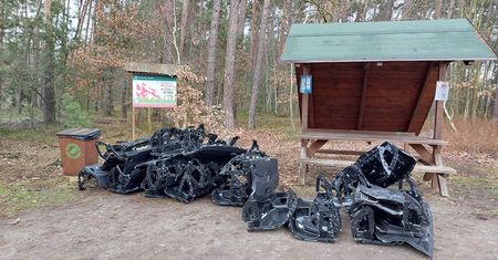 Pokazali zdjęcie z lasu. "Czy to się kiedyś zmieni?"