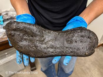 Niezwykłe odkrycie archeologów. Do kogo należały te buty?