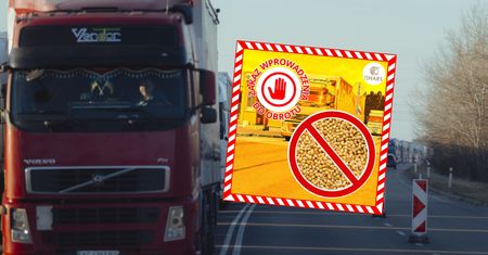 Towar z Ukrainy zakazany w Polsce. "Żywe szkodniki"