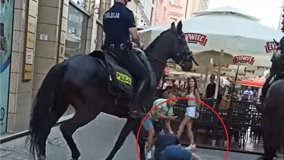 Interwencja konnej policji w Katowicach