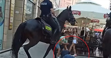 Wpada pod kopyta, wstaje i ucieka dalej. Dramatycznie nagranie z Katowic