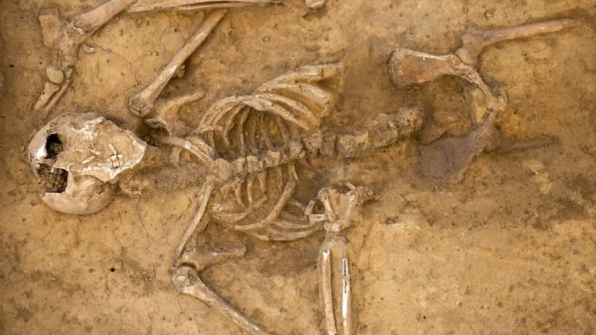 Naukowcy znaleźli szkielet w miejscu bitwy pod Waterloo 