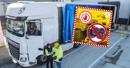 Kilkanaście ton owoców z USA zatrzymane. To wykryły polskie służby