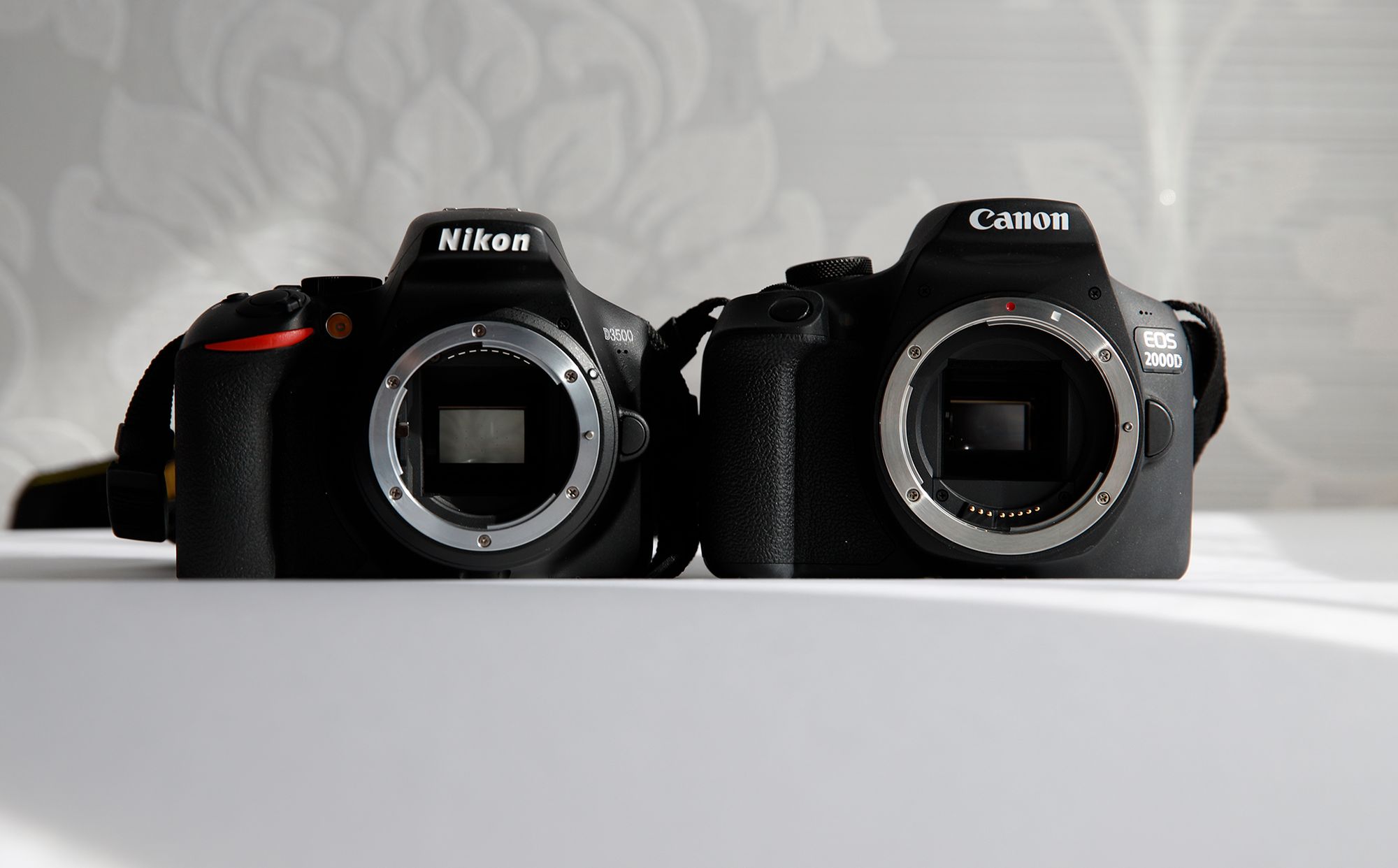 Nikon D3500 pomoże ci uchwycić najważniejsze momenty w życiu [test] 45