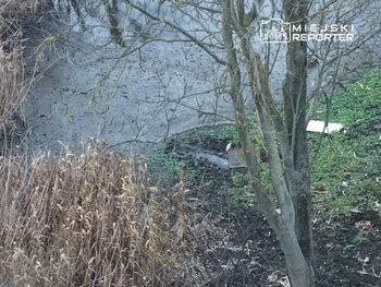 Tragedia na prywatnej posesji. W sadzawce ujawniono ciało kobiety