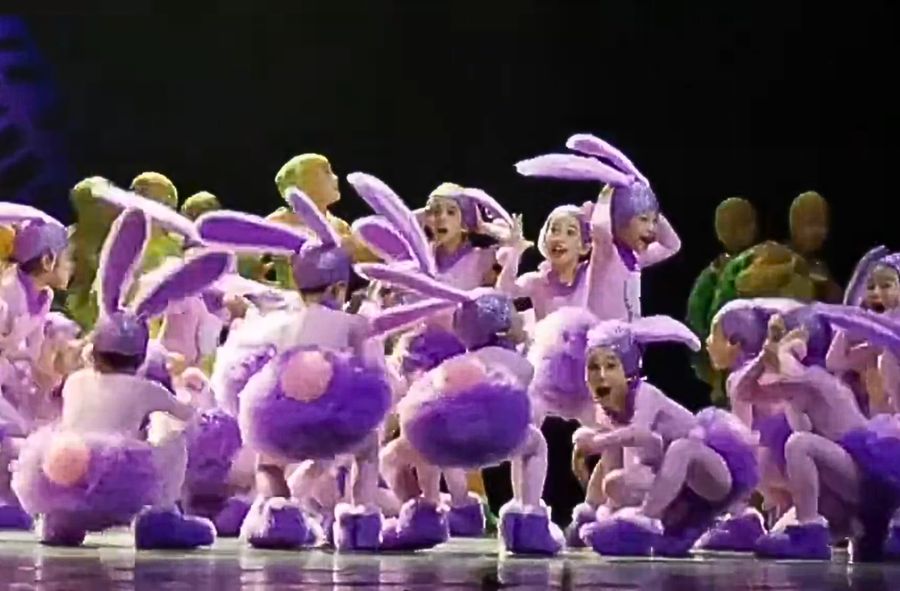 Turtle rabbit dance