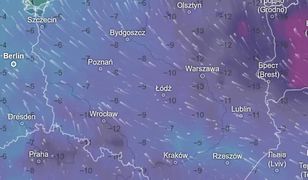 На Польщу насуваються хуртовини та сильний мороз. Є попередження!