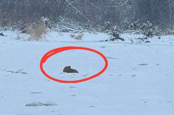 Leżał skulony na lodzie. Takiego finału akcji nikt się nie spodziewał