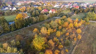 Grozi nam paraliż budowlany? Eksperci ostrzegają