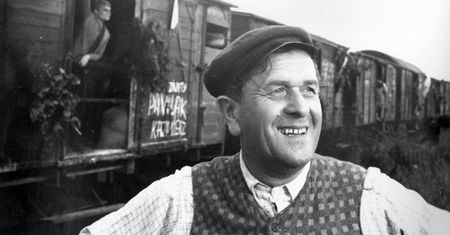 Ojcowie z polskich filmów i seriali. Połowa punktów to sukces