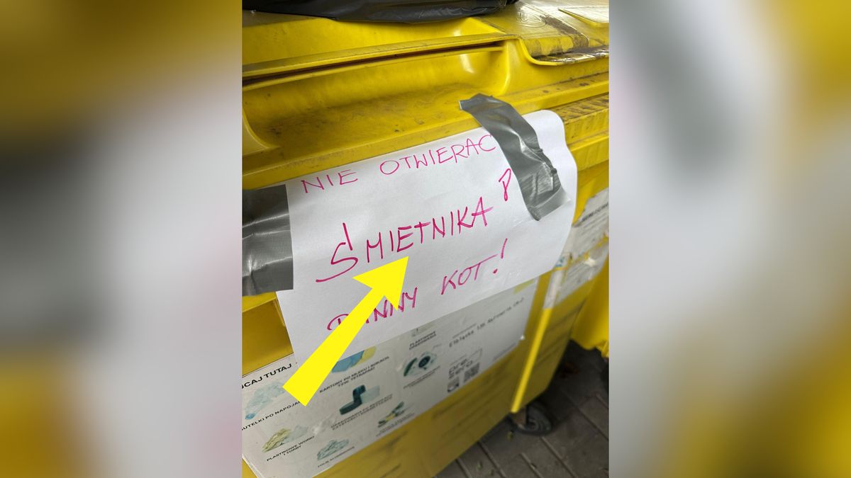 Kot utknął w metalowej puszce. Mocna reakcja.