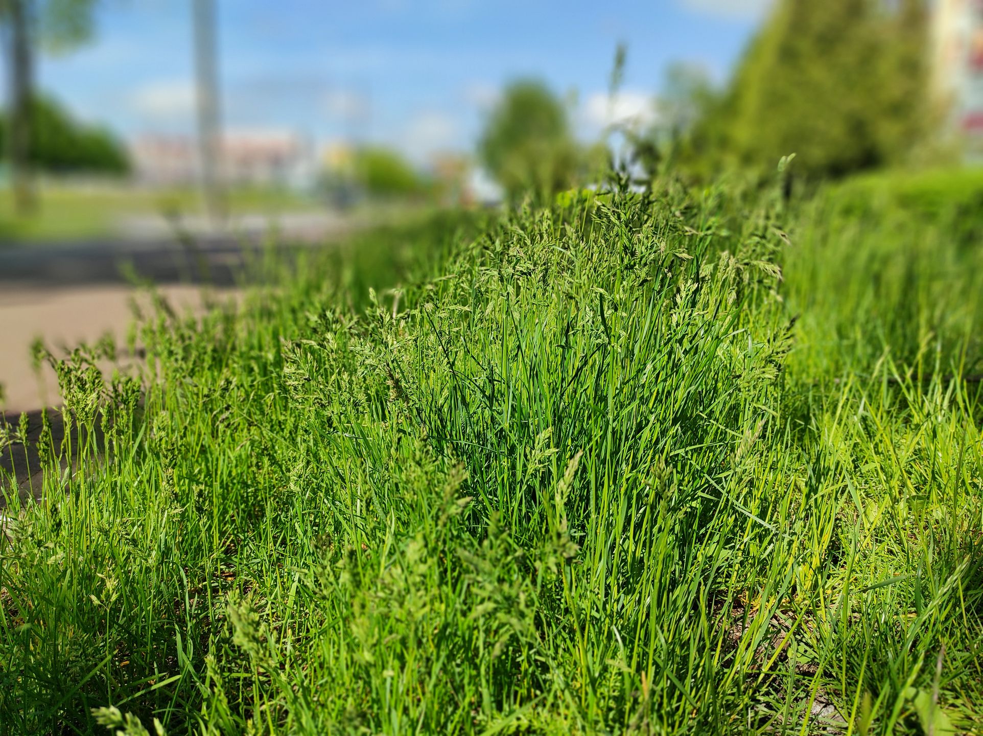 Redmi Note 9 Pro: pierwsze wrażenia. Czuć potencjał 21