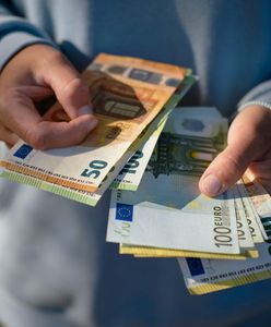 Szukają fachowca z Polski do pracy. Płacą 3 tys. zł tygodniowo