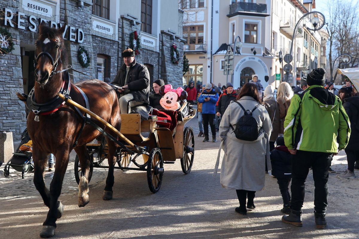 Praca w Zakopanem. Tak płacą górale