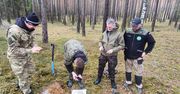 Eksploratorzy dokonali cennego odkrycia w Borach Tucholskich