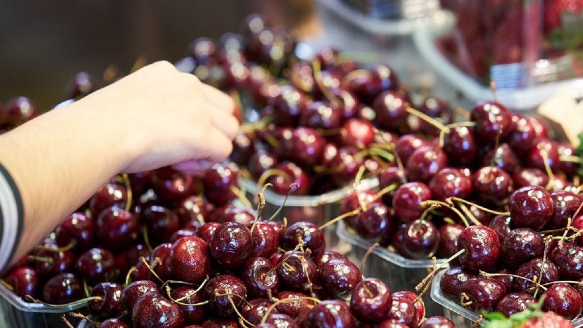 Zdjęcie ilustracyjne. 