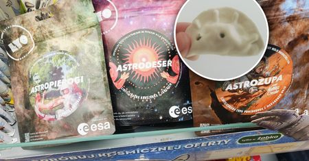 Zjadłem pierogi, które poleciały w kosmos. Oto moje wrażenia