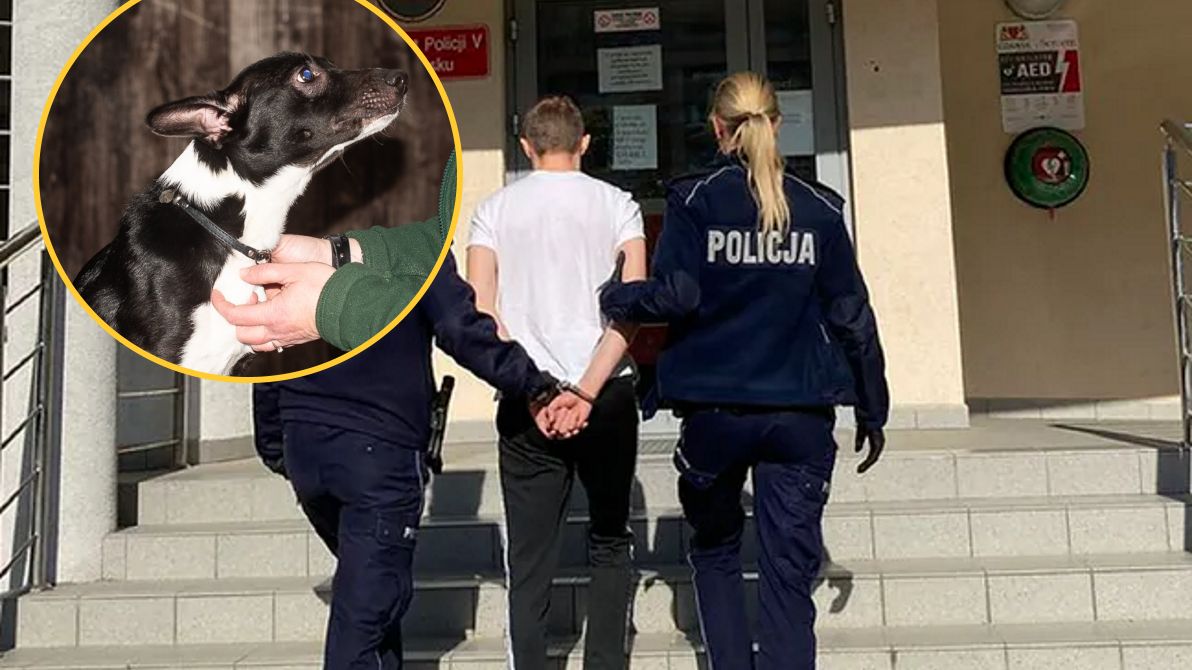 18-latek znęcał się nad psem