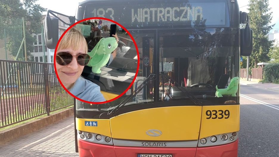 Kara za pluszowego jamnika w autobusie