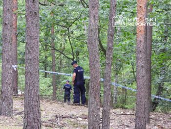 Białołęka: Tajemnicza akcja w lesie obok Oczyszczalni Czajka. Na miejscu interweniowało wiele załóg policji. Teren został odgrodzony
