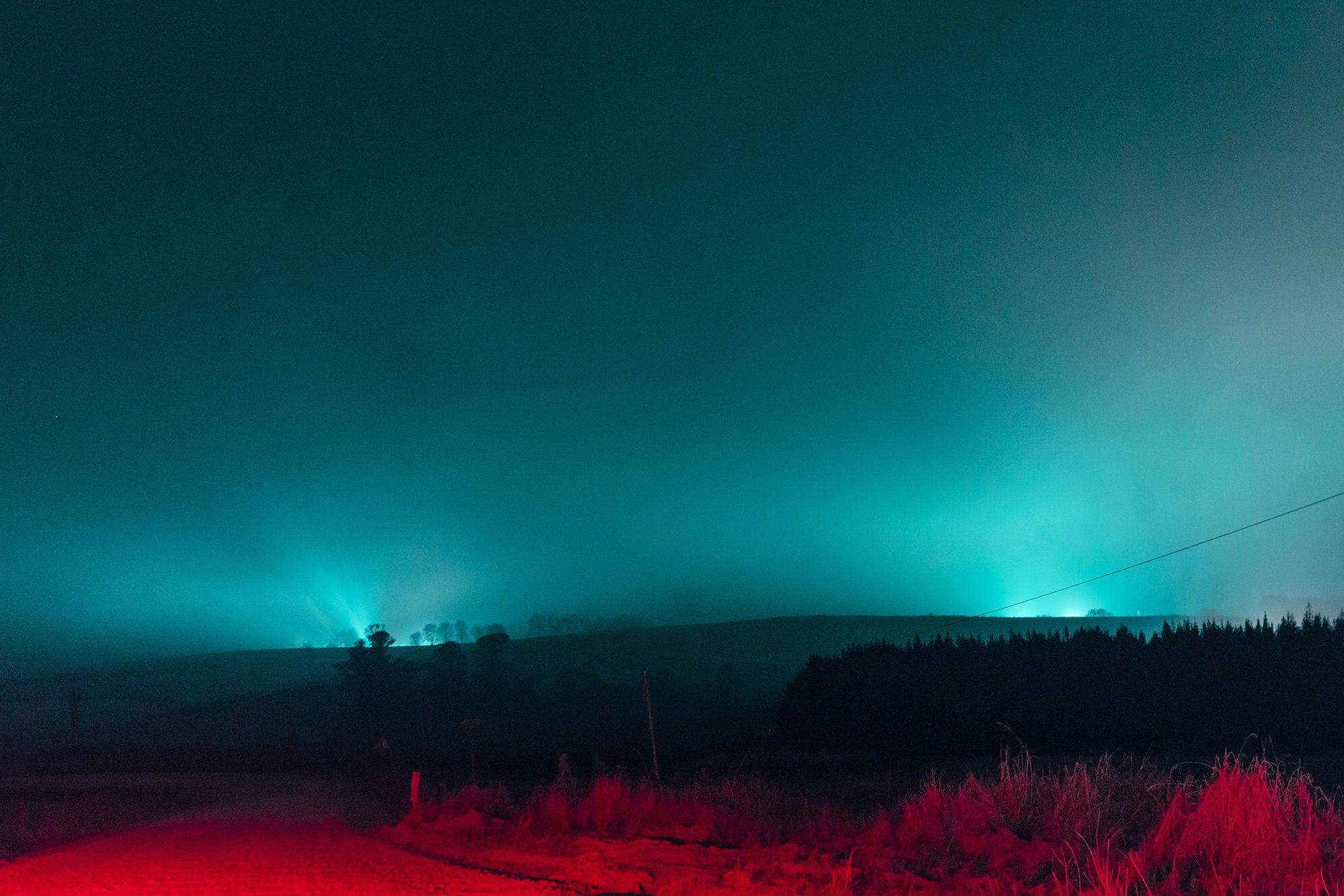 Nocne życie miast w blasku neonów na zdjęciach Elsy Bledy 6