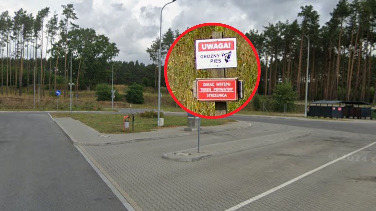  Makabryczne zdarzenie w MOP Racula