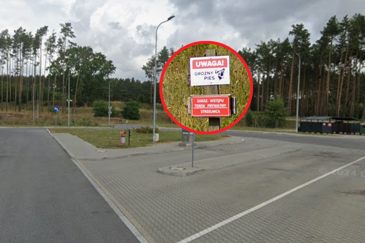 Został zagryziony przez psy. Oto co zastali na miejscu tragedii