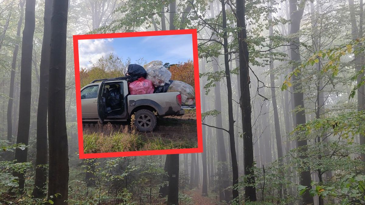 Leśnicy z Gniewkowa: "Las to nie śmietnisko!"