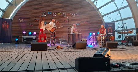 Noc Świętojańska w Ostrowcu. Park Miejski wypełniły muzyka, tradycja i magia