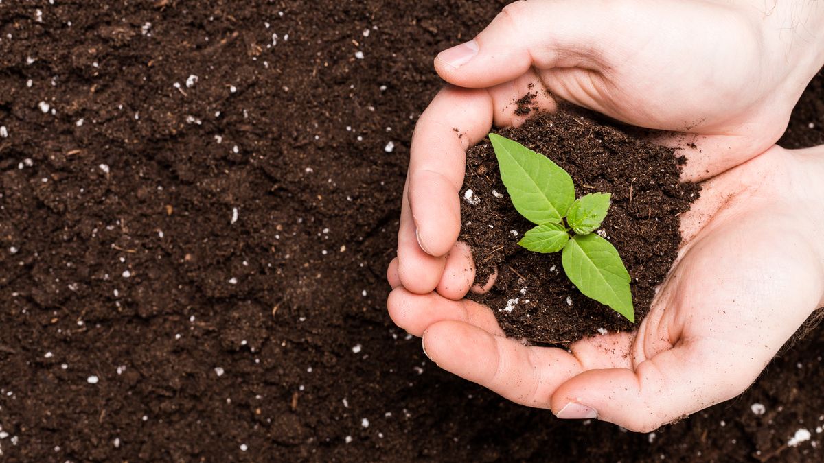 Trwa drugi dzień Międzynarodowego Szczytu Klimatycznego TOGETAIR 2022