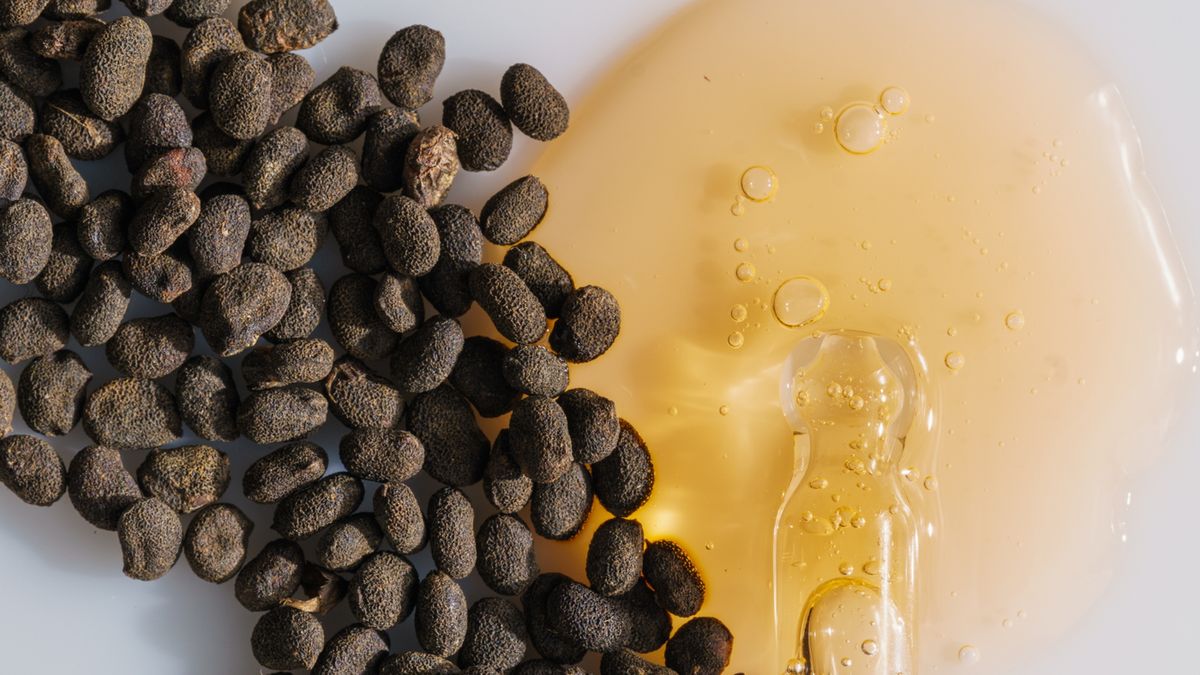 Kwas ferulowy występuje naturalnie w ziarnach kawy