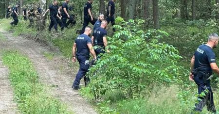 Po kolei weszli do lasu. Seria zniknięć seniorów