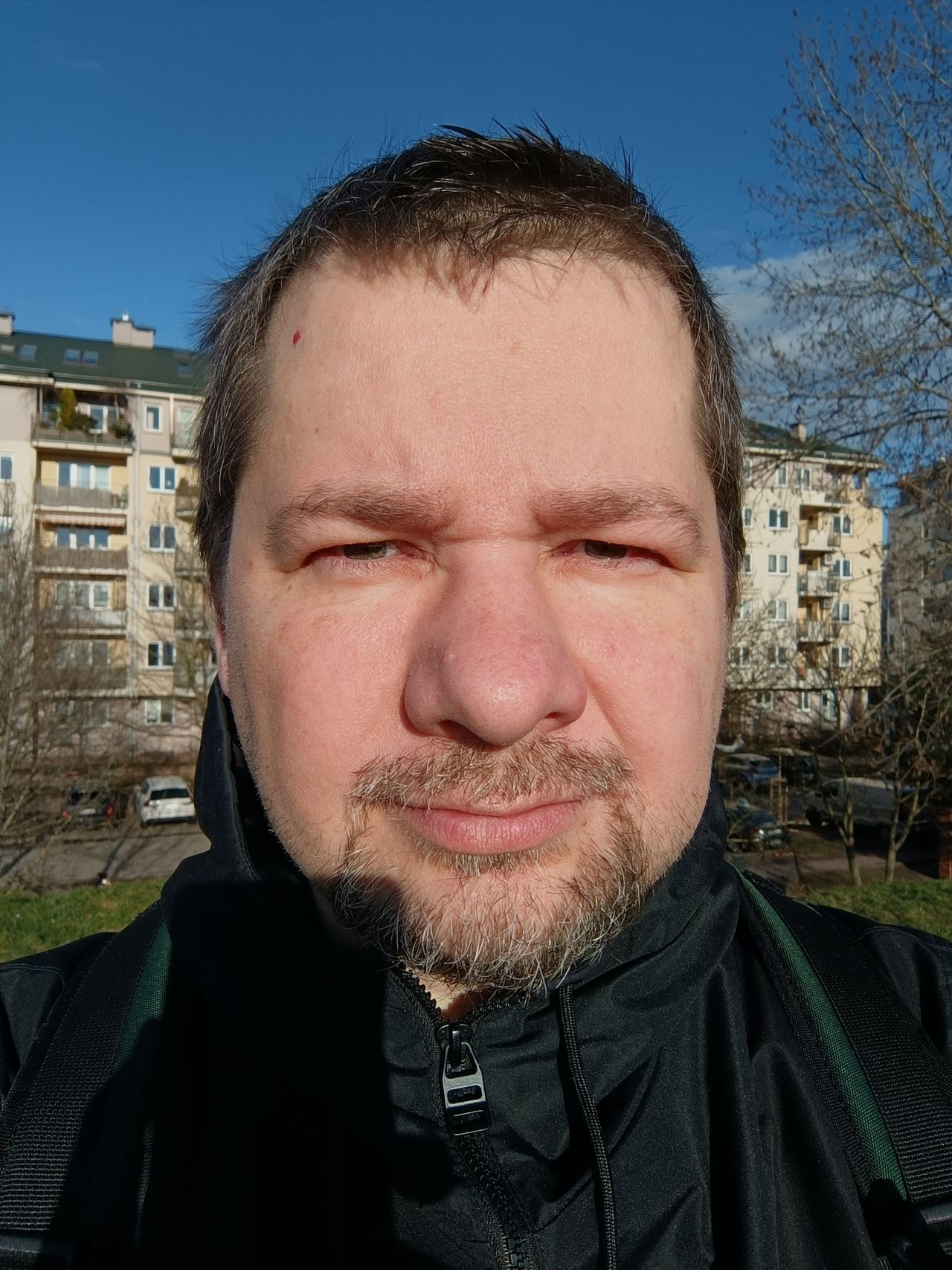 Obraz