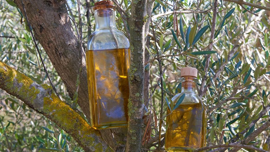 Wspiera układ odpornościowy i wybija komórki rakowe.