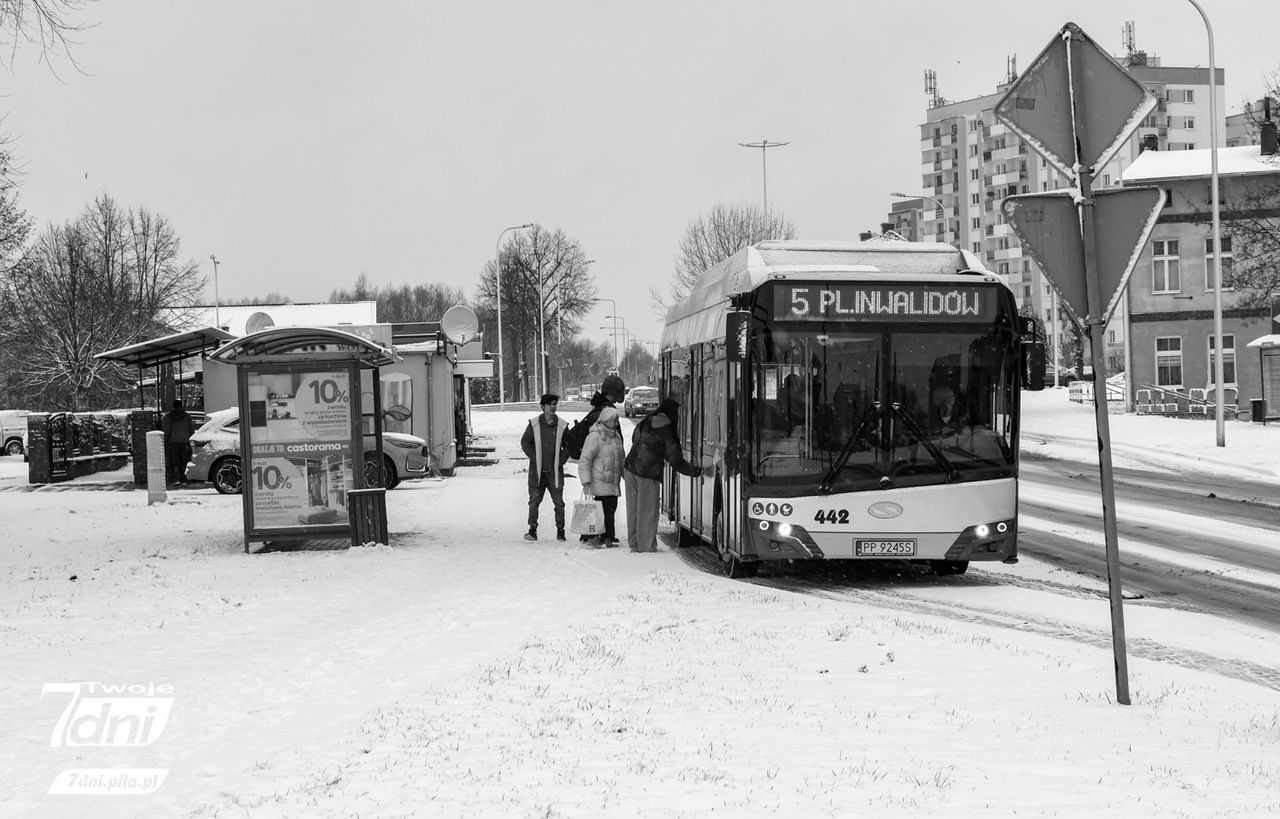 Piła, zima, 2025