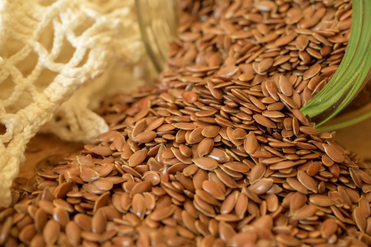 Risks and rewards of flaxseed: Vital knowledge for safe consumption