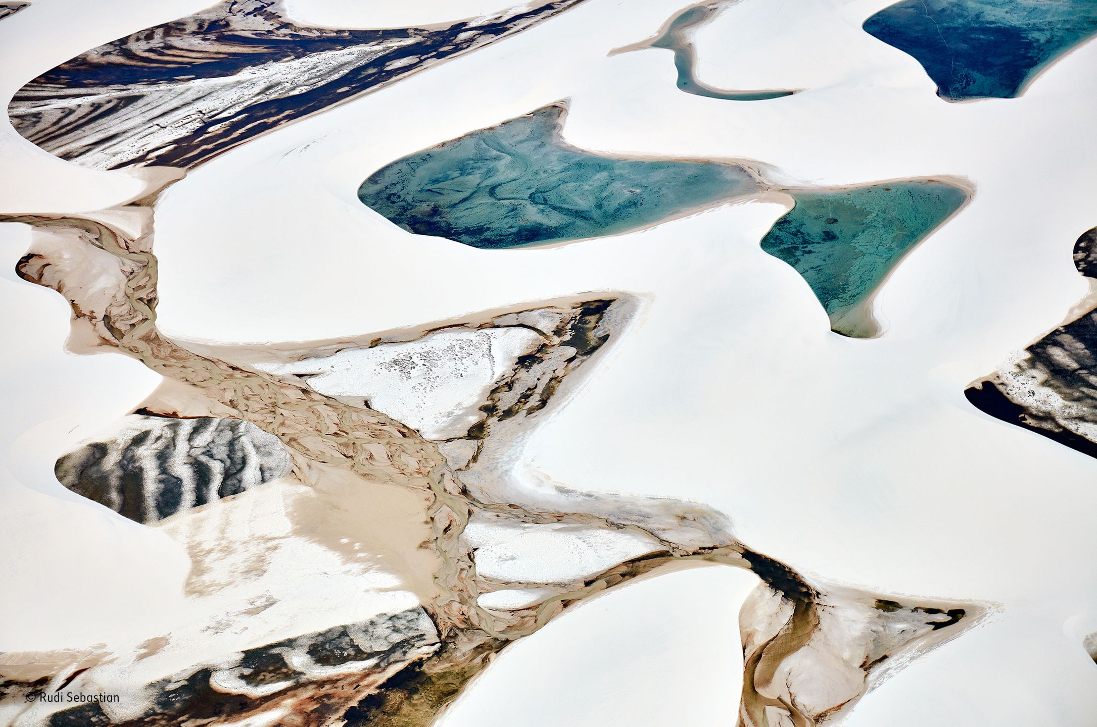 Poznaliśmy zwycięzców konkursu Wildlife Photographer of the Year 2016 8