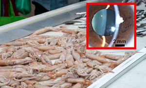 Nowy wirus w Chinach. Odnotowano pierwsze przypadki u ludzi