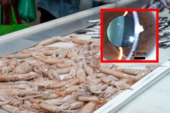 Nowy wirus w Chinach. Odnotowano pierwsze przypadki u ludzi