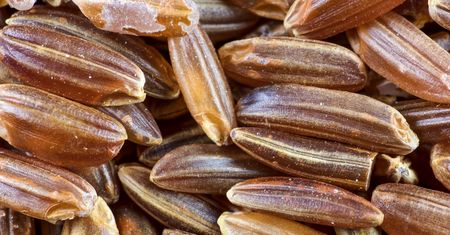 Obniża poziom złego cholesterolu we krwi. Jest jednak jedno "ale"