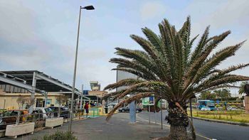 Gran Canaria. Tragedia na parkingu przy lotnisku