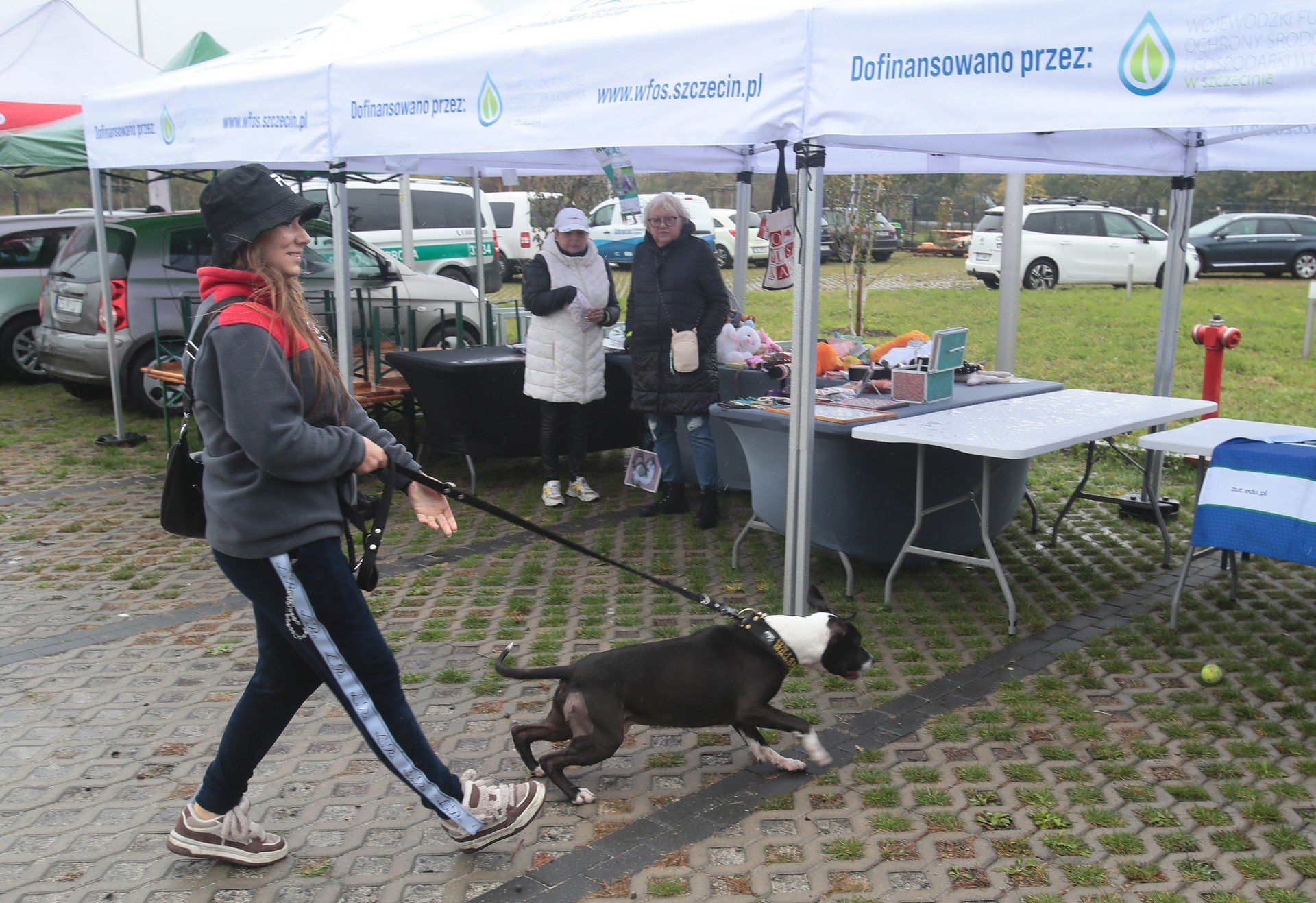 Dzień otwarty Schroniska dla bezdomnych zwierząt w Szczecinie