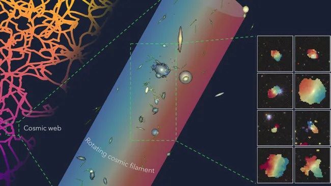 Włókno kosmicznej sieci